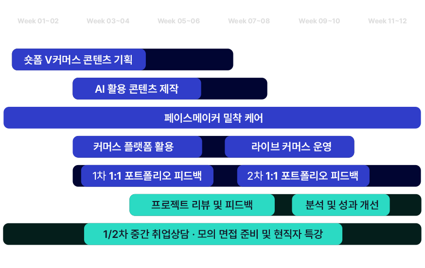 숏폼 커머스 과정